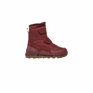 BIOM K2