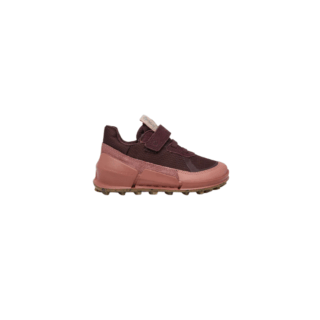 BIOM K2