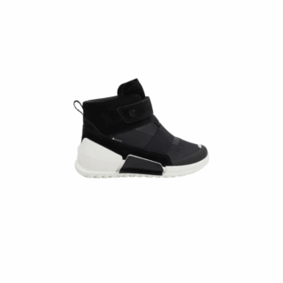BIOM K1