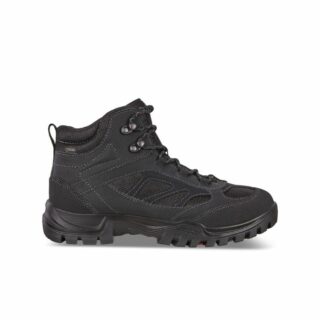 XPEDITION III M