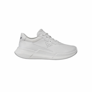 BIOM 2.2 W