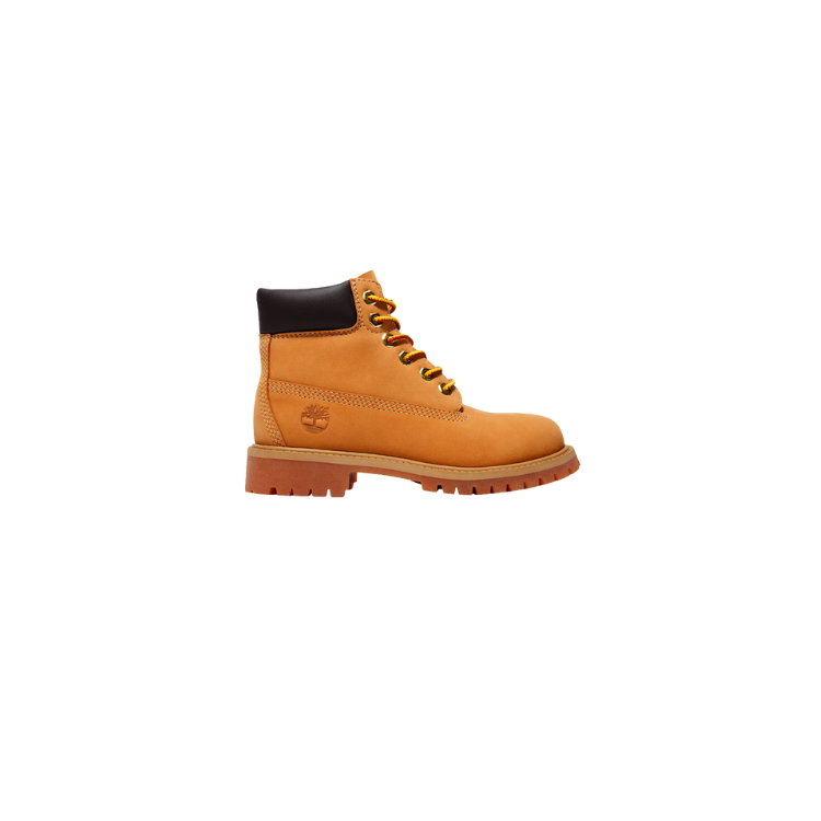 TIMBERLAND PREMIUM6 INCH LACE UP WATERPROOF BOOTWHEAT - TIMBERLAND - Scarpe.am