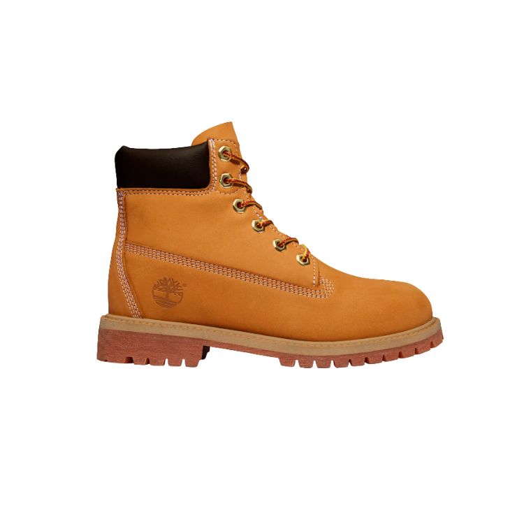 TIMBERLAND PREMIUM6 INCH LACE UP WATERPROOF BOOTWHEAT - TIMBERLAND - Scarpe.am