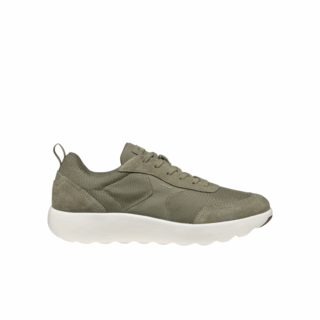 XTORS