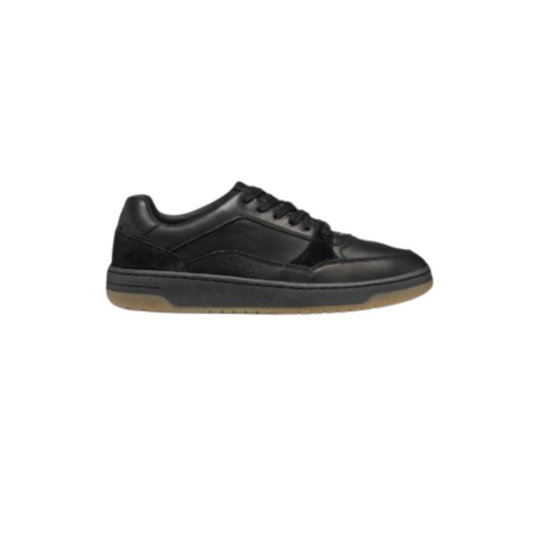SNEAKERS - GEOX - Scarpe.am